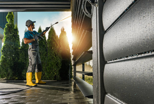 Best Gutter Cleaning  in Lineville, AL